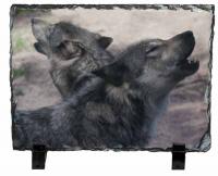 Photo of 2 wolves howling on slate